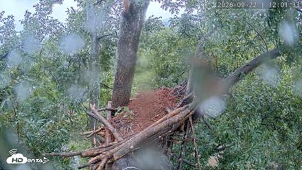 Dulles Greenway Eagles Nest Live Cam - Sep 22, 2026, 11:55am EDT