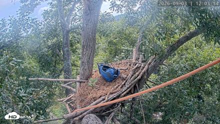 Dulles Greenway Eagles Nest Live Cam - Sep 3, 2026, 11:57am EDT