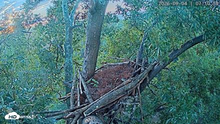 Dulles Greenway Eagles Nest Live Cam - Sep 4, 2026, 7:04am EDT