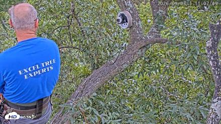 Dulles Greenway Eagles Nest Live Cam - Sep 3, 2026, 11:02am EDT