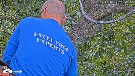 Dulles Greenway Eagles Nest Live Cam - Sep 3, 2026, 10:29am EDT