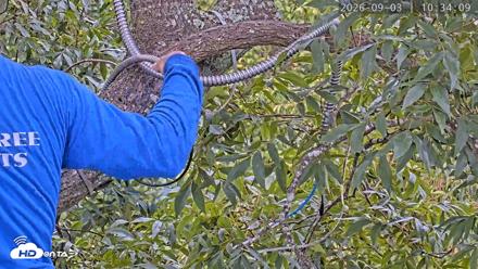 Dulles Greenway Eagles Nest Live Cam - Sep 3, 2026, 10:28am EDT