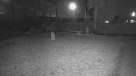 Reid Park Zoo Elephant Grasslands Live Webcam - Oct 28, 2025, 6:59pm MST