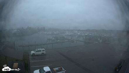 Point Roberts Marina NW Live Webcam - Oct 14, 2026, 10:38am PDT