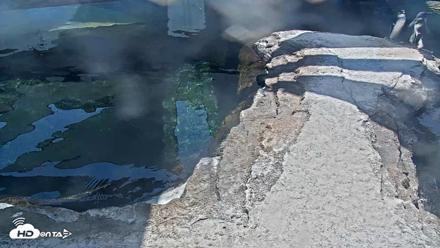Birch Aquarium Penguin Exhibit Live Webcam - Oct 6, 2026, 12:37pm PDT