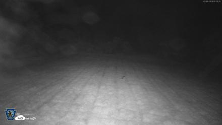 Pennsylvania Elk Live Webcam - Sep 9, 2026, 12:21am EDT