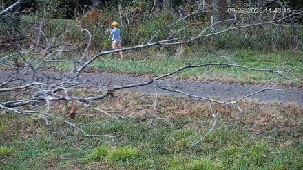 Pennsylvania Elk Live Webcam - Sep 29, 2025, 11:44am EDT