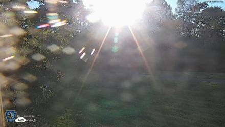 Pennsylvania Elk Live Webcam - Sep 5, 2026, 6:18pm EDT
