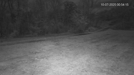 Pennsylvania Elk Live Webcam - Oct 7, 2025, 12:54am EDT