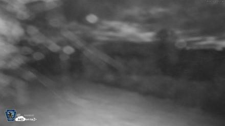 Pennsylvania Elk Live Webcam - Sep 26, 2026, 8:53pm EDT