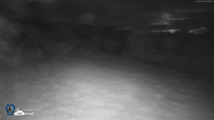 Pennsylvania Elk Live Webcam - Sep 26, 2026, 8:20pm EDT