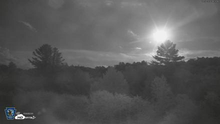 Pennsylvania Elk Live Webcam - Aug 27, 2026, 9:21pm EDT