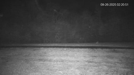 Pennsylvania Elk Live Webcam - Sep 26, 2025, 2:21am EDT