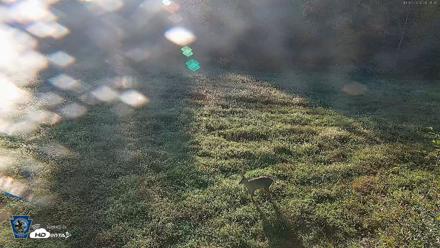 Pennsylvania Elk Live Webcam - Oct 3, 2026, 8:22am EDT