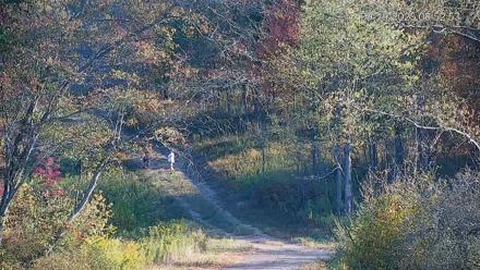Pennsylvania Elk Live Webcam - Sep 19, 2025, 8:53am EDT
