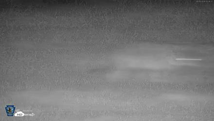 Pennsylvania Elk Live Webcam - Sep 9, 2026, 8:37pm EDT
