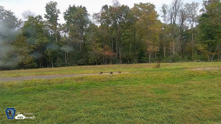 Pennsylvania Elk Live Webcam - Oct 1, 2026, 12:50pm EDT