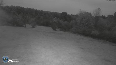 Pennsylvania Elk Live Webcam - Oct 1, 2026, 6:47am EDT