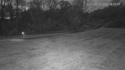 Pennsylvania Elk Live Webcam - Oct 12, 2025, 7:11pm EDT