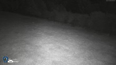 Pennsylvania Elk Live Webcam - Aug 27, 2026, 1:17am EDT