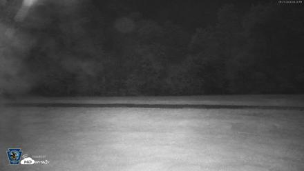 Pennsylvania Elk Live Webcam - Sep 27, 2026, 3:20am EDT