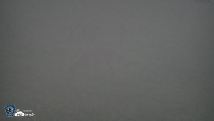 Pennsylvania Elk Live Webcam - Sep 6, 2026, 6:26am EDT