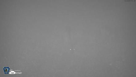 Pennsylvania Elk Live Webcam - Sep 6, 2026, 6:02am EDT