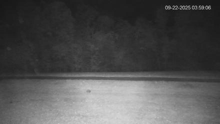 Pennsylvania Elk Live Webcam - Sep 22, 2025, 3:59am EDT