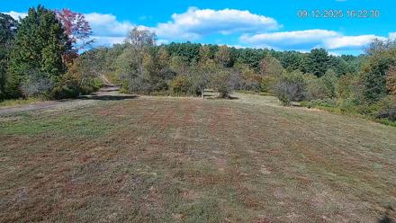 Pennsylvania Elk Live Webcam - Sep 12, 2025, 4:23pm EDT