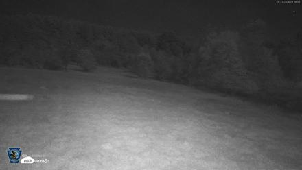 Pennsylvania Elk Live Webcam - Aug 27, 2026, 1:17am EDT