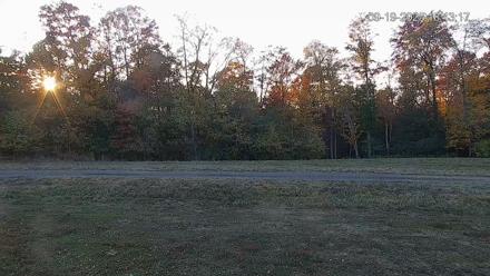 Pennsylvania Elk Live Webcam - Sep 19, 2025, 6:44pm EDT