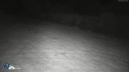 Pennsylvania Elk Live Webcam - Sep 13, 2026, 11:37pm EDT