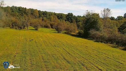 Pennsylvania Elk Live Webcam - Sep 8, 2026, 11:29am EDT