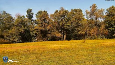 Pennsylvania Elk Live Webcam - Sep 7, 2026, 12:11pm EDT