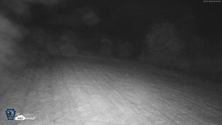 Pennsylvania Elk Live Webcam - Sep 7, 2026, 1:46am EDT
