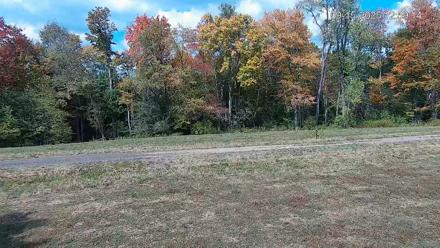 Pennsylvania Elk Live Webcam - Sep 15, 2025, 1:00pm EDT