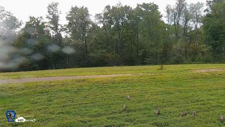 Pennsylvania Elk Live Webcam - Sep 9, 2026, 5:30pm EDT