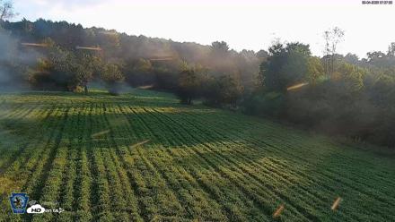 Pennsylvania Elk Live Webcam - Sep 4, 2026, 7:28am EDT