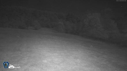 Pennsylvania Elk Live Webcam - Aug 27, 2026, 1:13am EDT