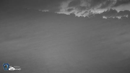 Pennsylvania Elk Live Webcam - Sep 10, 2026, 6:06am EDT