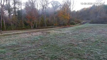 Pennsylvania Elk Live Webcam - Oct 9, 2025, 7:42am EDT