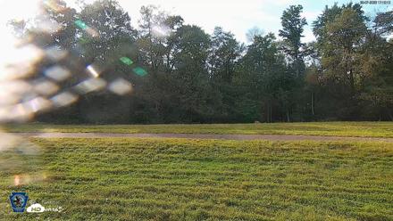 Pennsylvania Elk Live Webcam - Sep 7, 2026, 5:20pm EDT