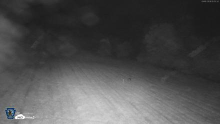 Pennsylvania Elk Live Webcam - Sep 4, 2026, 5:34am EDT