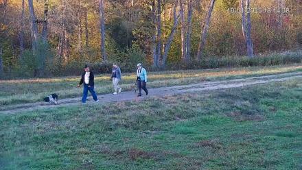 Pennsylvania Elk Live Webcam - Oct 1, 2025, 6:15pm EDT