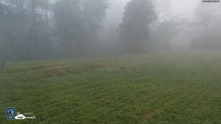 Pennsylvania Elk Live Webcam - Sep 8, 2026, 6:54am EDT