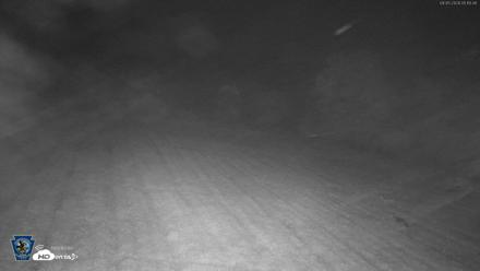 Pennsylvania Elk Live Webcam - Sep 5, 2026, 5:11am EDT