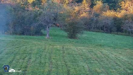 Pennsylvania Elk Live Webcam - Sep 5, 2026, 7:09pm EDT