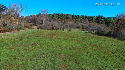 Pennsylvania Elk Live Webcam - Oct 16, 2025, 11:25am EDT