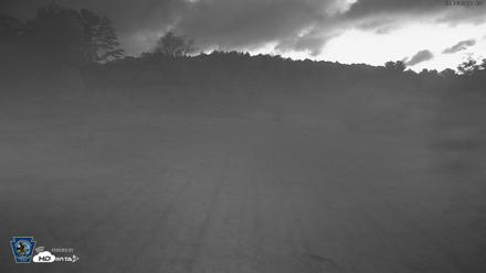 Pennsylvania Elk Live Webcam - Sep 10, 2026, 6:20am EDT