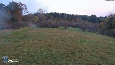 Pennsylvania Elk Live Webcam - Oct 2, 2026, 7:15am EDT